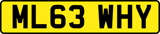 ML63WHY