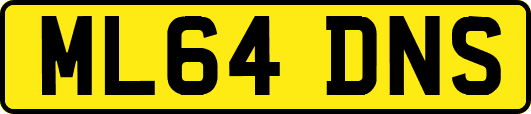 ML64DNS
