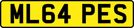 ML64PES