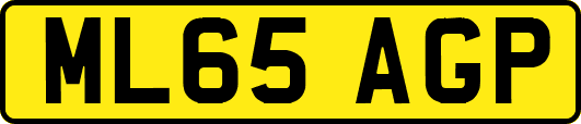 ML65AGP