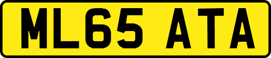 ML65ATA