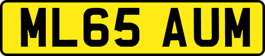 ML65AUM