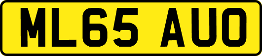 ML65AUO