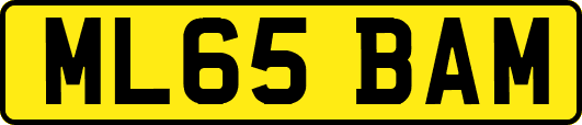 ML65BAM