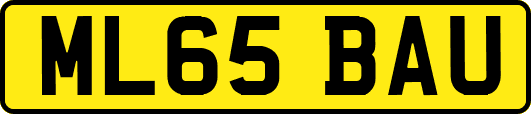 ML65BAU