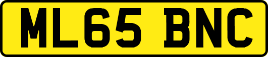 ML65BNC