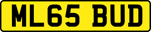 ML65BUD