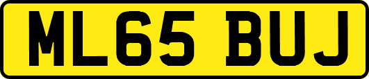 ML65BUJ