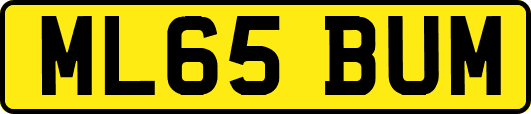ML65BUM