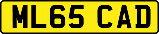 ML65CAD