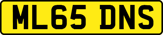 ML65DNS