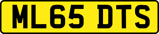 ML65DTS