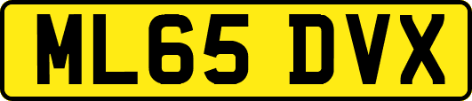 ML65DVX