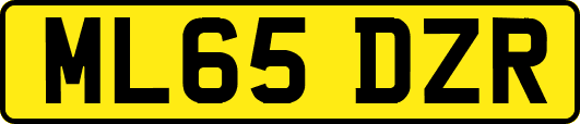 ML65DZR