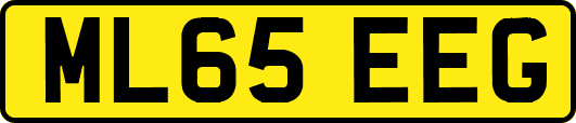 ML65EEG