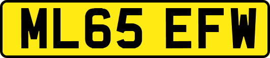 ML65EFW