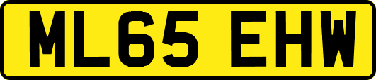 ML65EHW