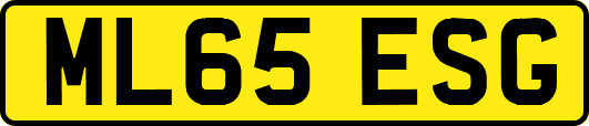 ML65ESG