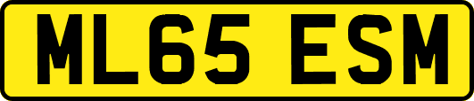 ML65ESM