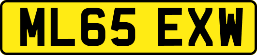 ML65EXW