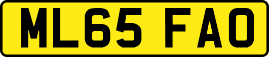 ML65FAO