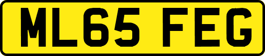 ML65FEG