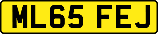 ML65FEJ
