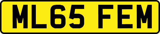ML65FEM