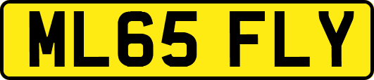 ML65FLY