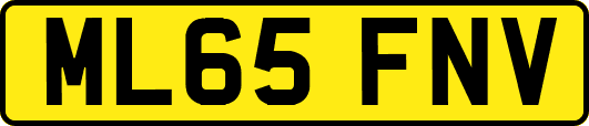 ML65FNV