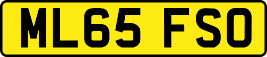 ML65FSO