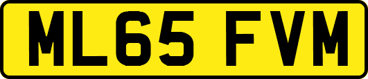ML65FVM