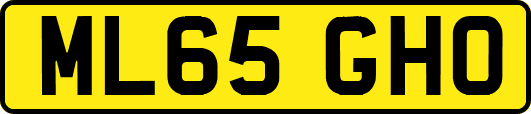 ML65GHO