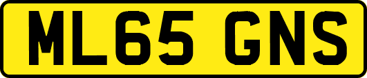 ML65GNS