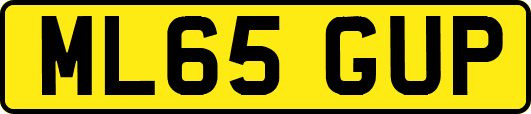 ML65GUP