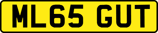 ML65GUT