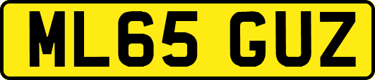 ML65GUZ