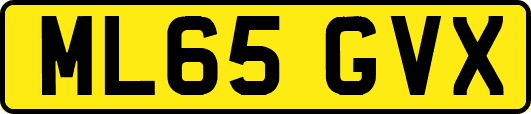 ML65GVX