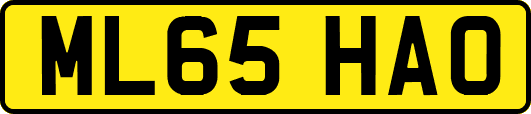 ML65HAO