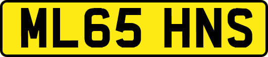 ML65HNS