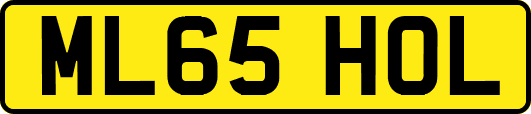ML65HOL