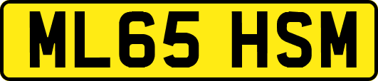 ML65HSM
