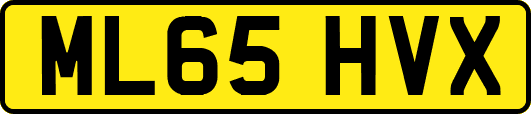ML65HVX