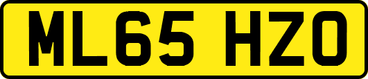 ML65HZO