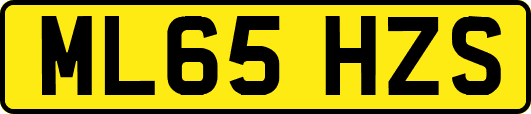 ML65HZS