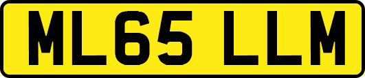 ML65LLM