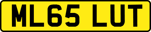 ML65LUT