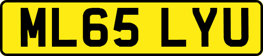 ML65LYU
