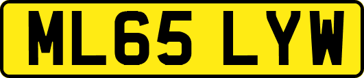 ML65LYW