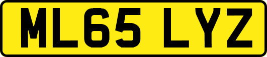 ML65LYZ
